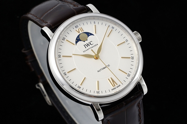 アイ・ダブリュー・シー側面デザイン